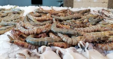 جمبري واسماك